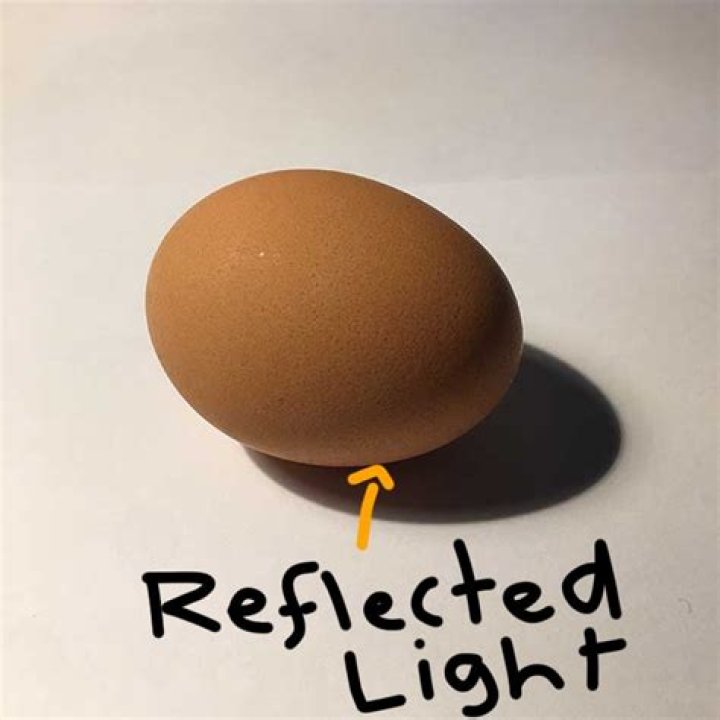 What is reflected light in art?
