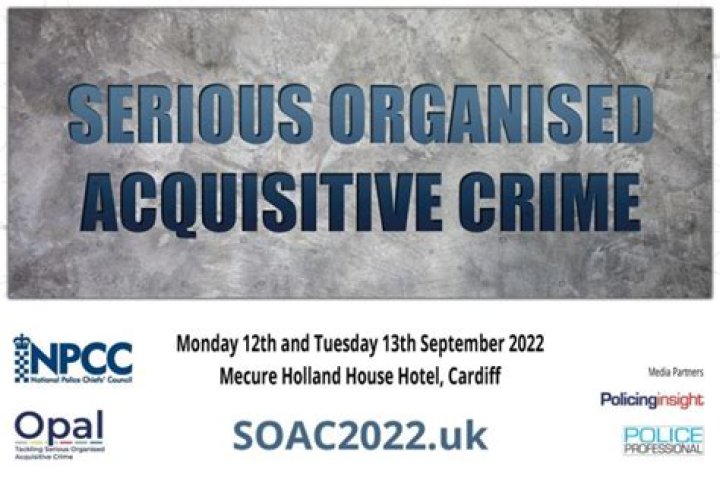 What is serious acquisitive crime?