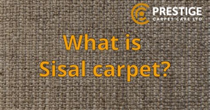 What is sisal carpet?