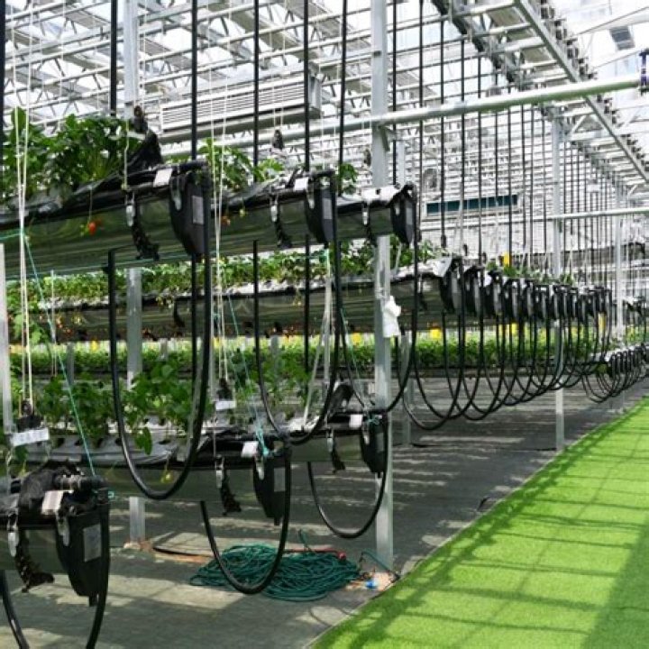 What is soilless culture?