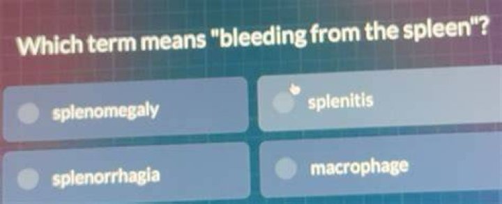 What is splenorrhagia in medical terms?