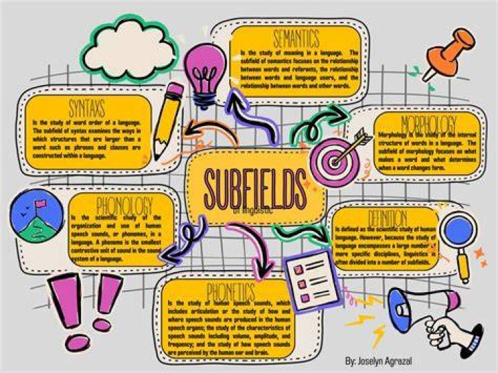 What is subfield meaning?