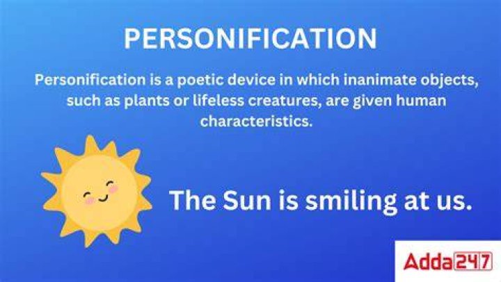 What is the definition for ventri?