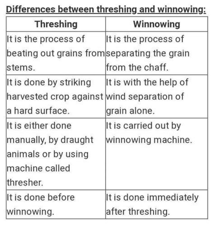 What is the difference between threshing and winnowing?