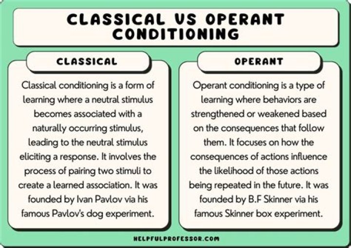 What is the distinction between schismatics and separated brethren?