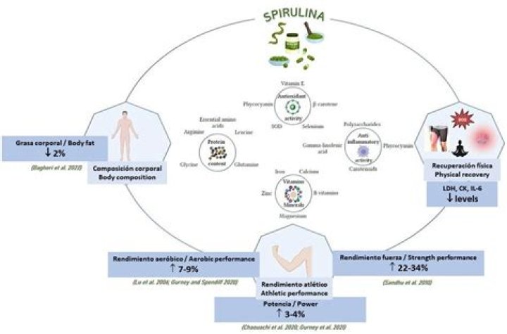 What is the effect of spirulina?