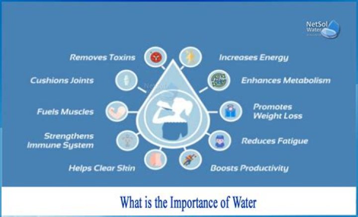 What is the importance of dehydrofreezing?