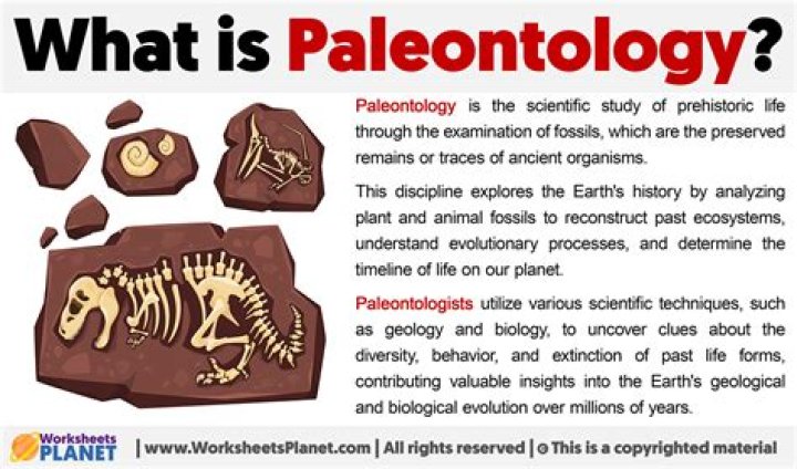What is the importance of paleontology?