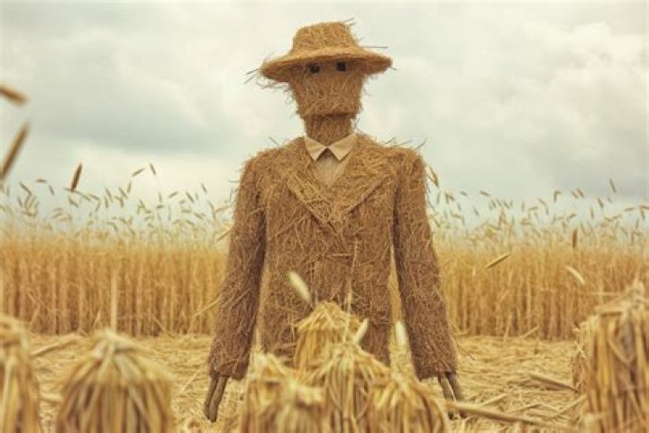 What is the mean of straw?
