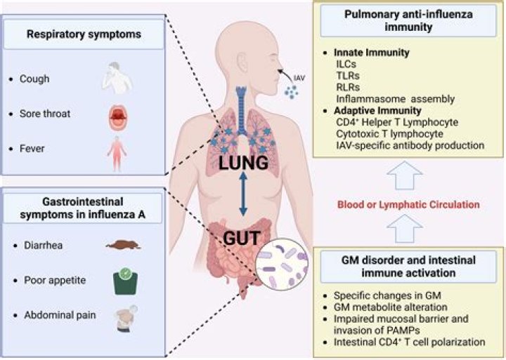 What is the meaning of lymphadenectasis?