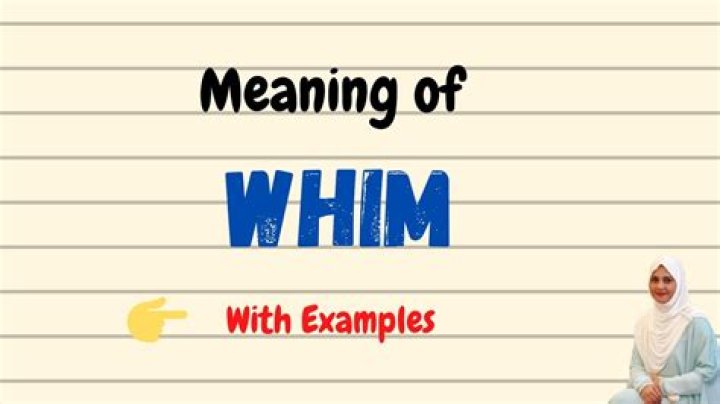 What is the meaning of whim-wham?