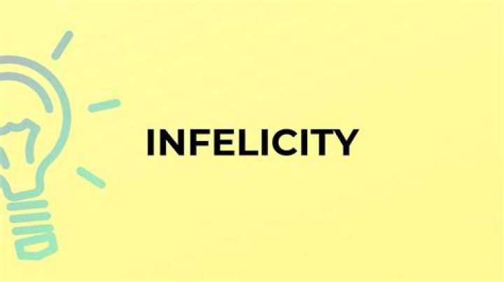 What is the meaning of word infelicity?