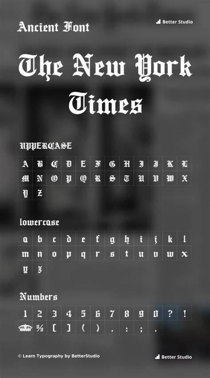 What is the new york times?