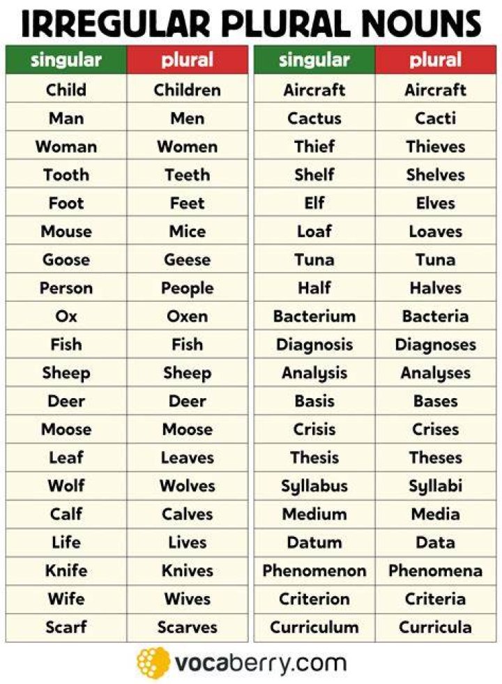 What is the plural of loof?