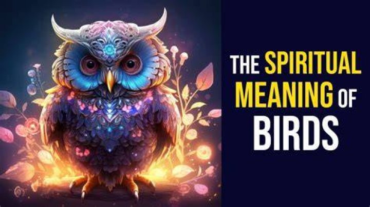 What is the spiritual meaning of a butcher bird?