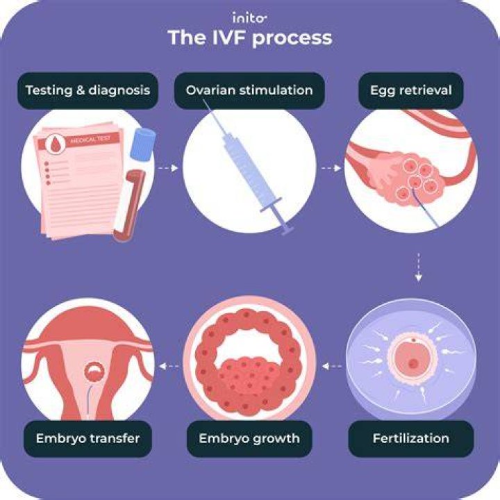 What is the step by step process for ivf?