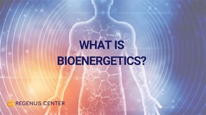What is the topic about bioenergetics?