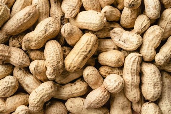 What is unshelled groundnut?