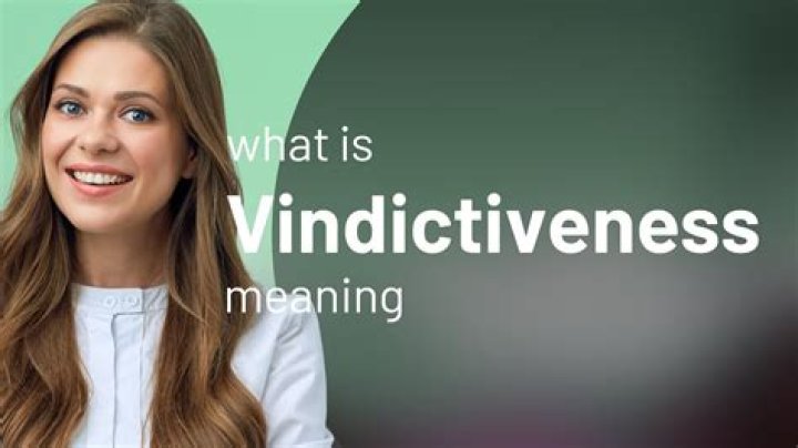 What is vindictiveness behavior?