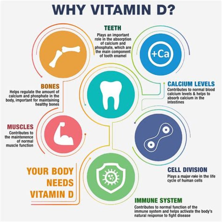 What is vitamin d and d2?
