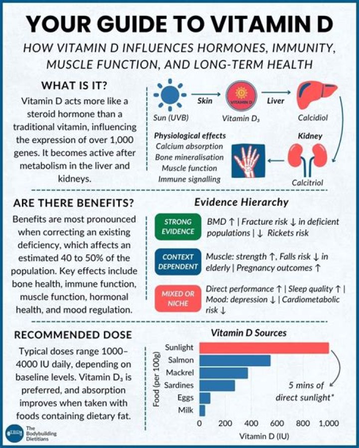 What metabolizes vitamin d?