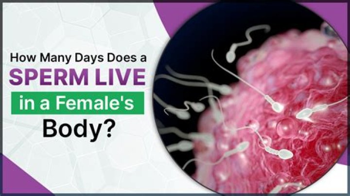 What percent of sperm live 5 days?