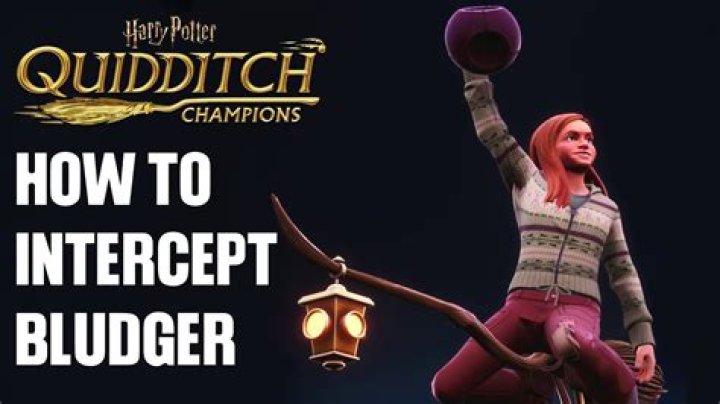 What quidditch players fend off the bludgers answer?