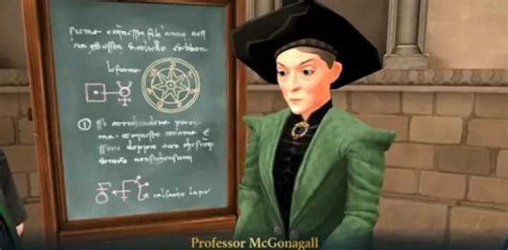 What transfiguration lesson is professor mcgonagall teaching?