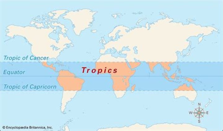 What tropics are there?