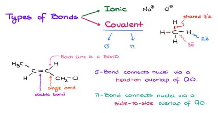 What type of bonds does 2-hexyne have?