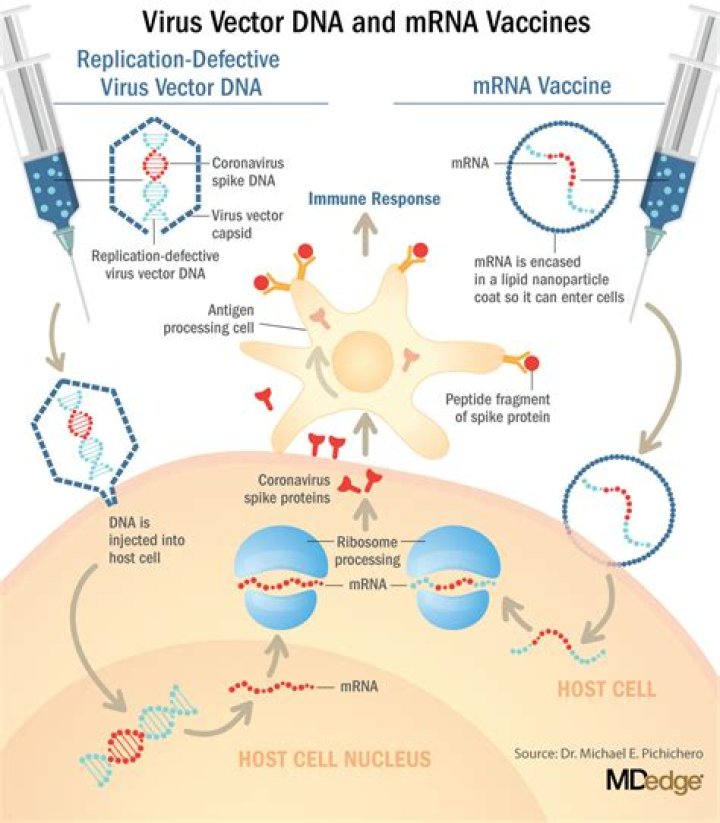What vaccines are rna vaccines?