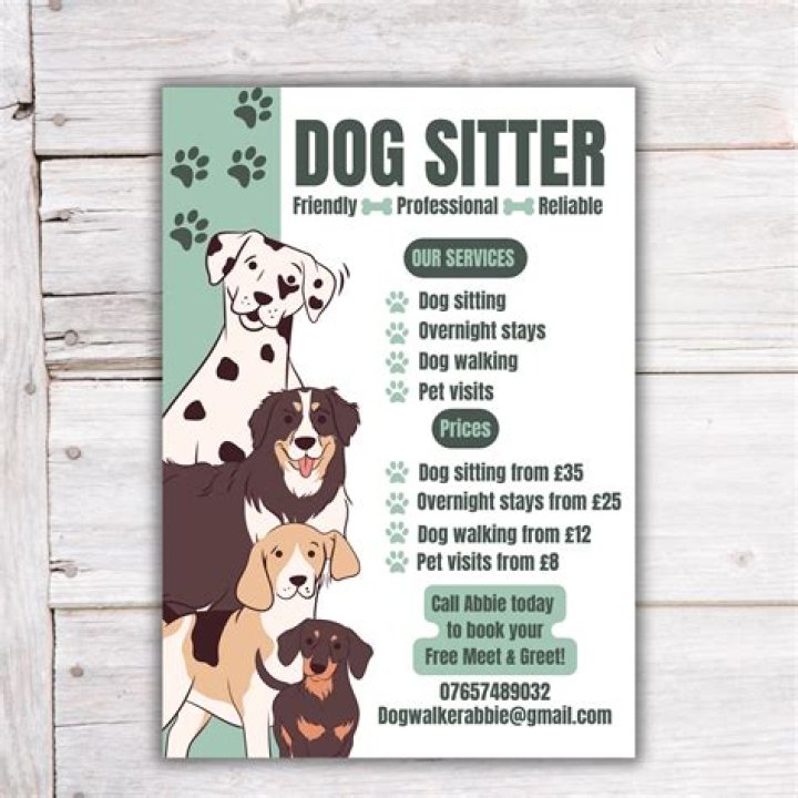 What you mean by sitter?