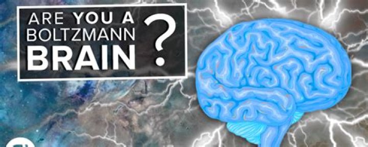 Whats a boltzmann brain?