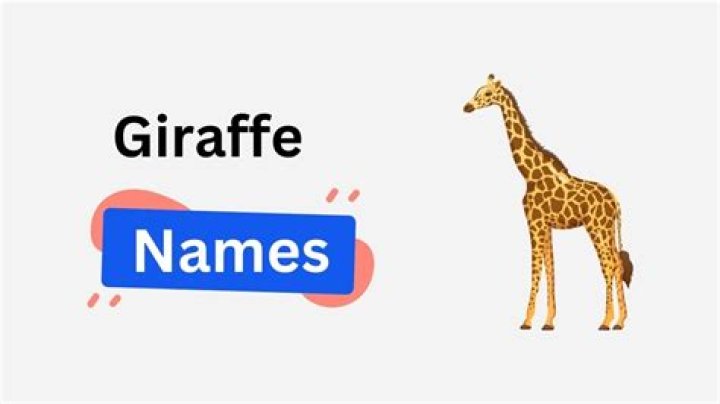 Whats a good name for a giraffe?