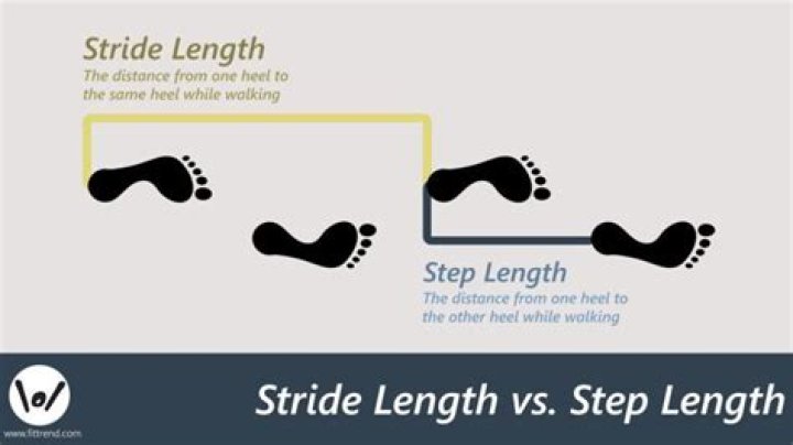 Whats a good step length?
