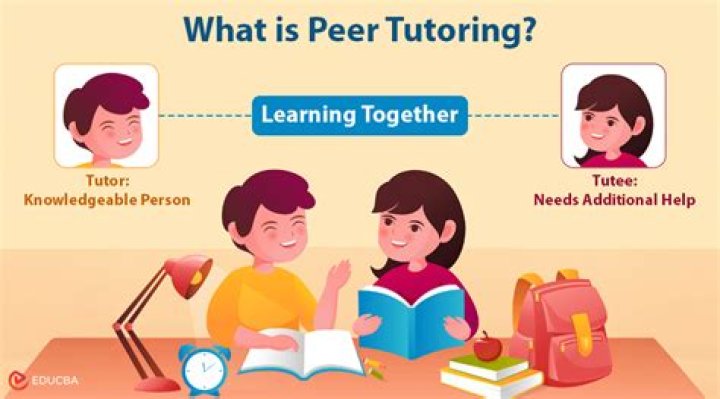Whats a peer tutor?