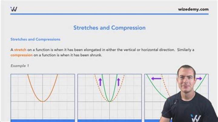 Whats a sentence for compressions?