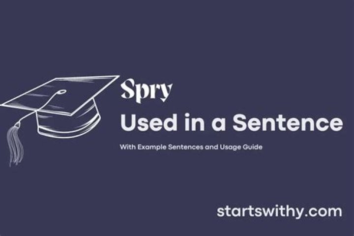 Whats a sentence for spry?