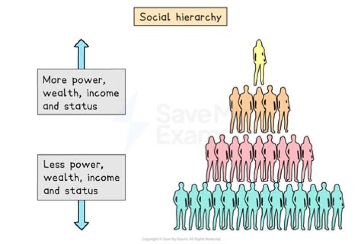 Whats a social hierarchy?