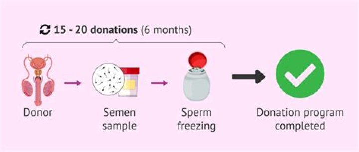 Whats a sperm bank?
