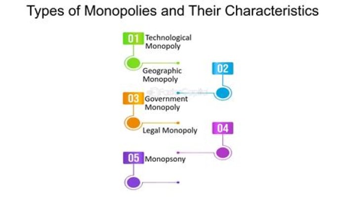 Whats a technological monopoly?