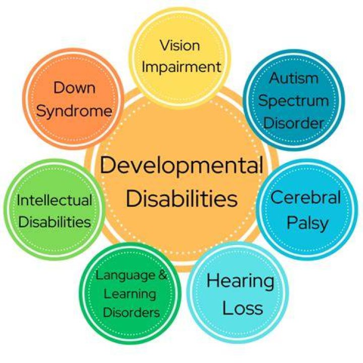 Whats developmentally disabled mean?