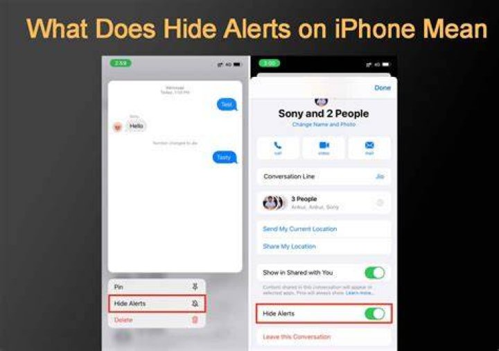 Whats hide alerts mean on iphone?