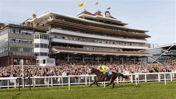 Whats on at newbury racecourse?