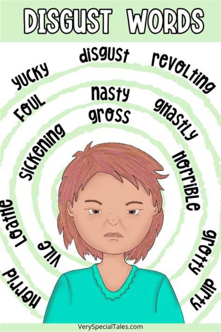 Whats other words for disgust?