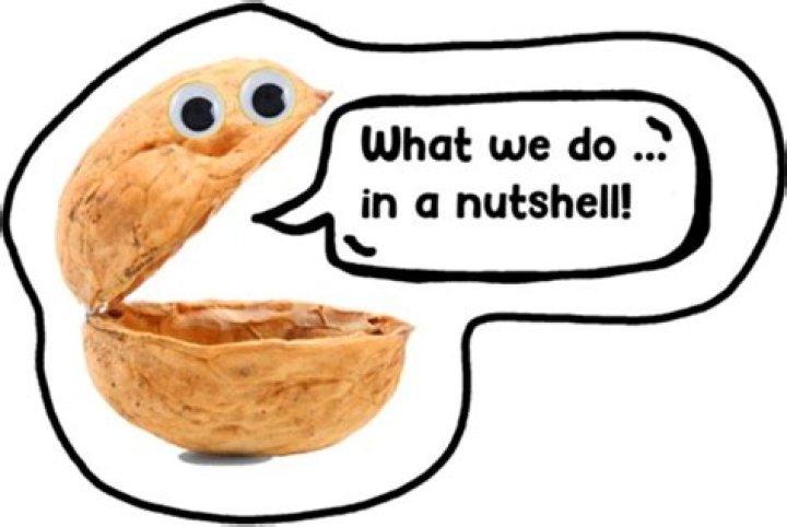 Whats something in a nutshell?