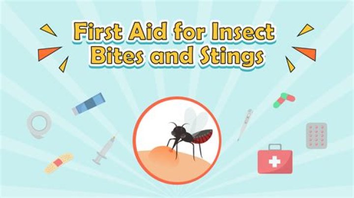 When an ant bites it injects into the skin?