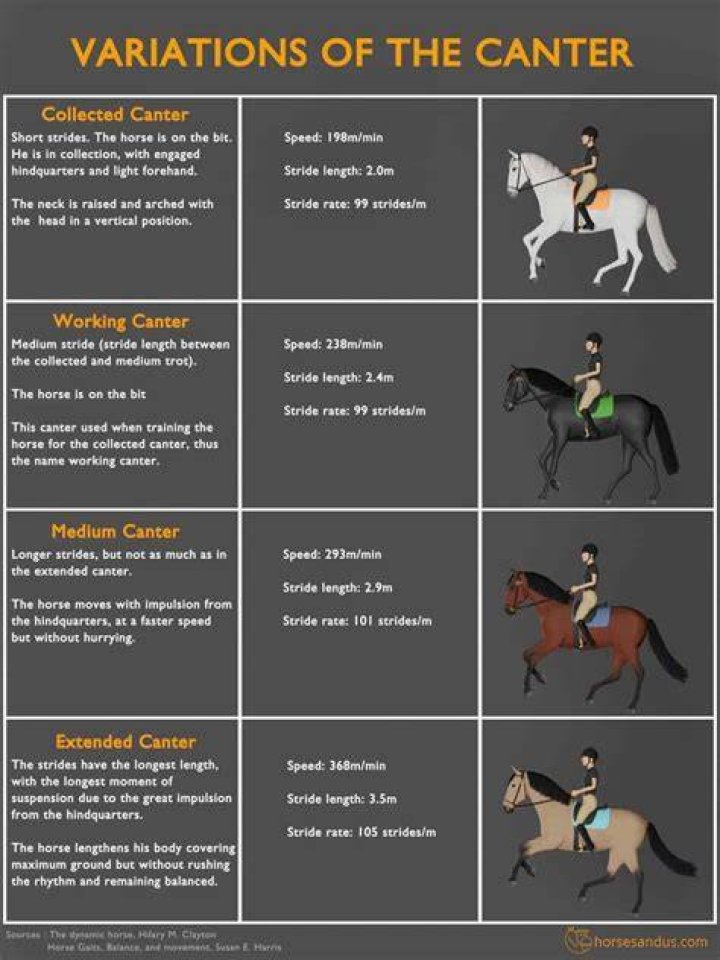 When can i start cantering?
