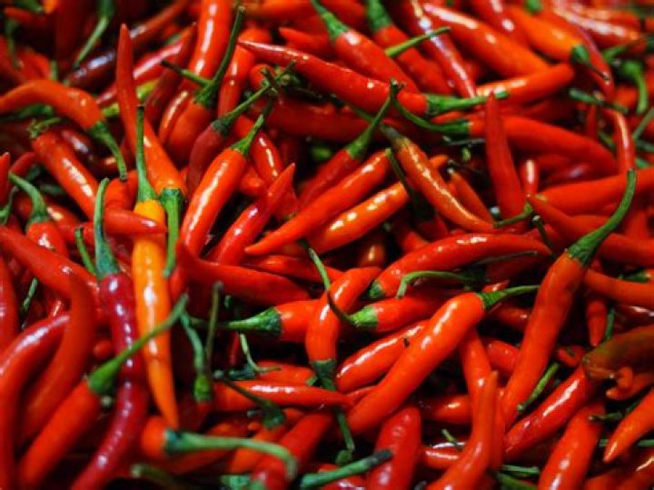 When cayenne peppers are ripe?