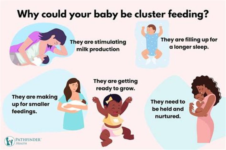 When cluster feeding start?